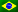 Portugues
